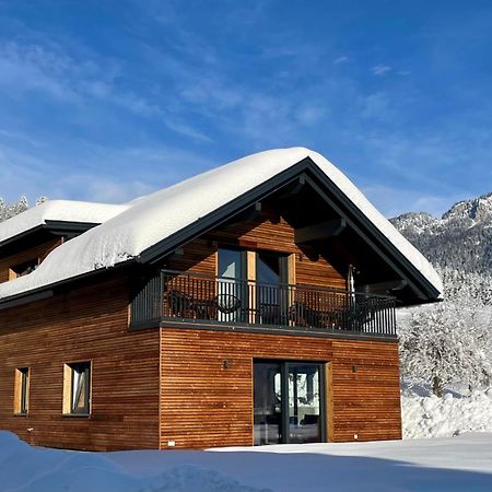 Luxury Chalet Mauthner Alm Kotschach-Mauthen 外观 照片