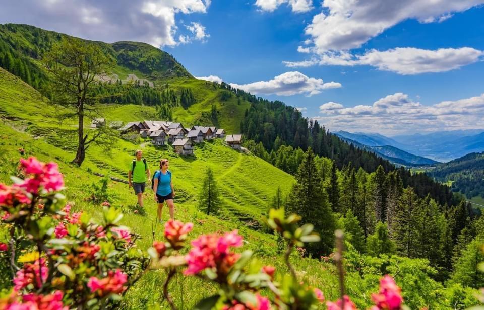 Luxury Chalet Mauthner Alm Kotschach-Mauthen 外观 照片
