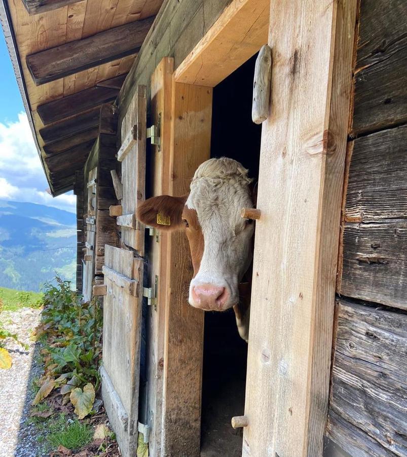 Luxury Chalet Mauthner Alm Kotschach-Mauthen 外观 照片