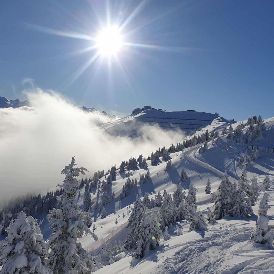 Luxury Chalet Mauthner Alm Kotschach-Mauthen 外观 照片
